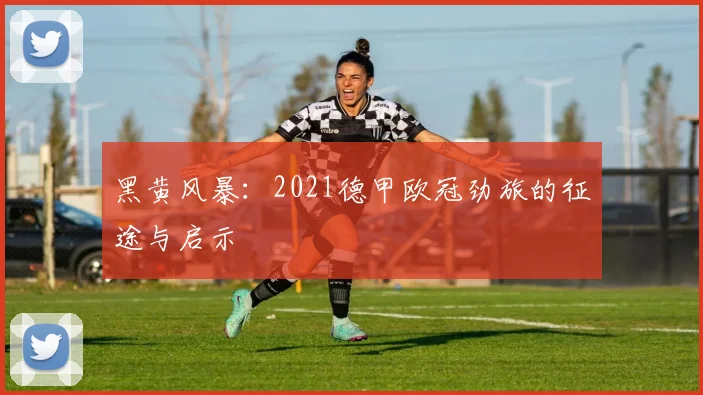 黑黄风暴：2021德甲欧冠劲旅的征途与启示