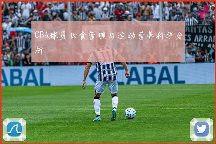 CBA球员伙食管理与运动营养科学分析