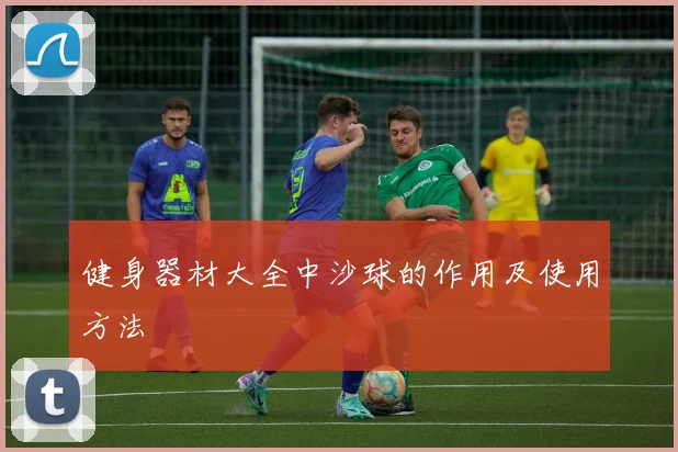 健身器材大全中沙球的作用及使用方法