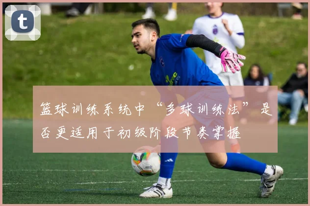 篮球训练系统中“多球训练法”是否更适用于初级阶段节奏掌握