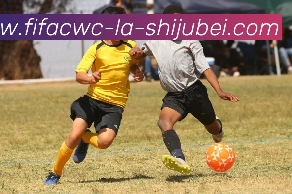 世界杯直播品牌故事